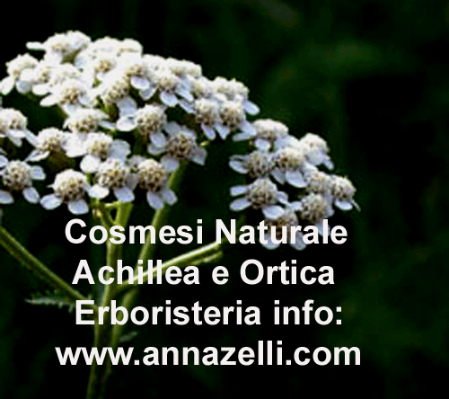 ACHILLEA ORTICA, COSMESI NATURALE, ERBORISTERIA