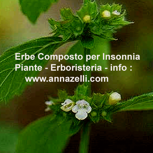 ERBE, COMPOSTO PER INSONNIA, PIANTE, ERBORISTERIA