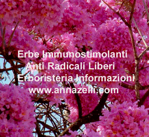 ERBE IMMUNOSTIMOLANTI, ANTI RADICALI LIBERI, ERBORISTERIA, NATUROPATIA