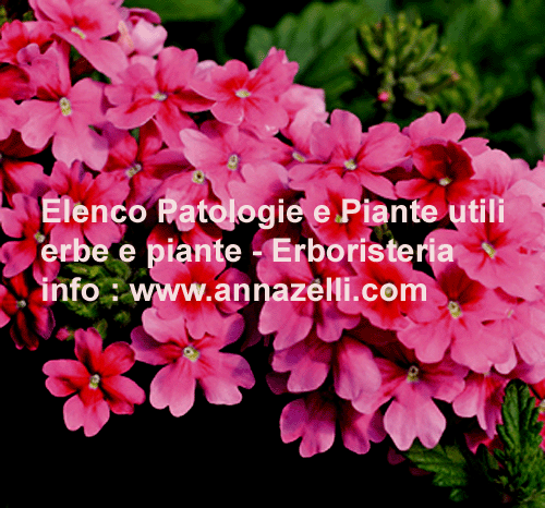 PATOLOGIE ED ERBE UTILI, PIANTE, ERBORISTERIA