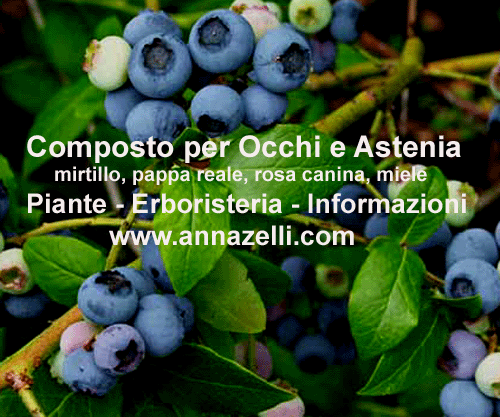 ERBE,COMPOSTO MIRTILLO PAPPA REALE, OCCHI, ASTENIA, PIANTE, ERBORISTERIA