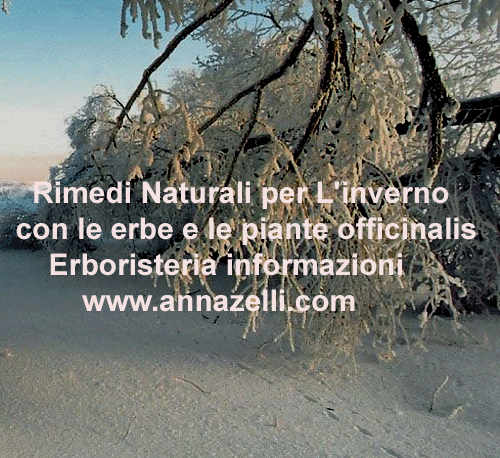 PIANTE PER L'INVERNO FITOTERAPIA,CURA NATURALE CON LE ERBE, ERBORISTERIA