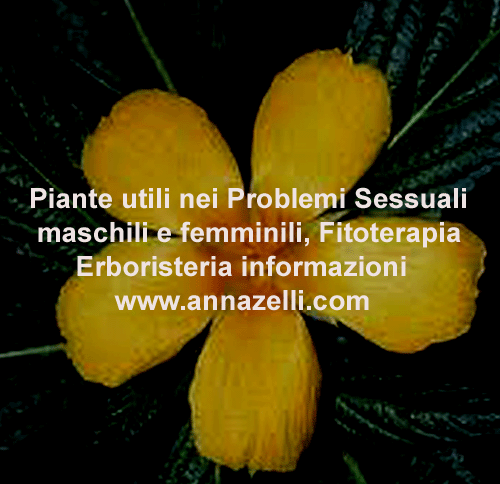 ERBE UTILI PROBLEMI SESSUALI MASCHILI E FEMMINILI FITOTERAPIA