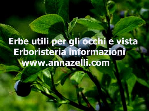 ERBE UTILI PER GLI OCCHI,SUPPLEMENTI, ERBORISTERIA, PIANTE, NATUROPATIA