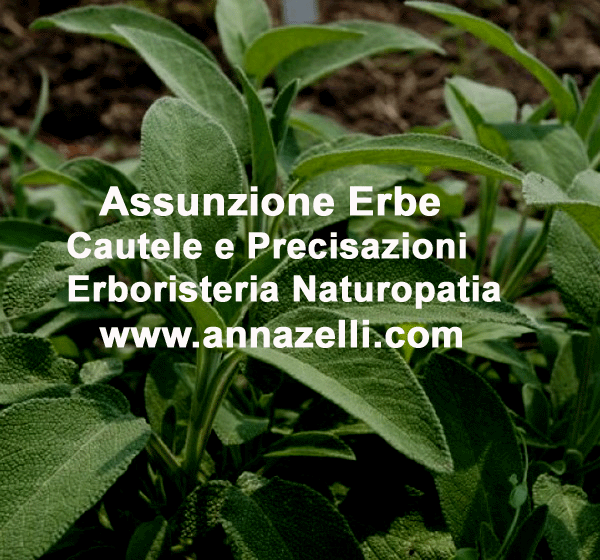 erboristeria cautele avvertenze precisazioni assunzioni erbe