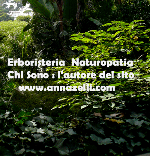 ERBORISTERIA NATUROPATIA CHI SONO ANNA ZELLI