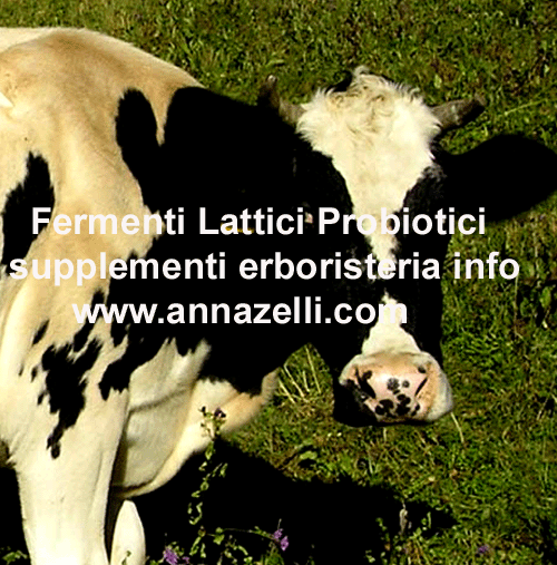 FERMENTI LATTICI PROBIOTICI SUPPLEMENTI ALIMENTARI ERBORISTERIA