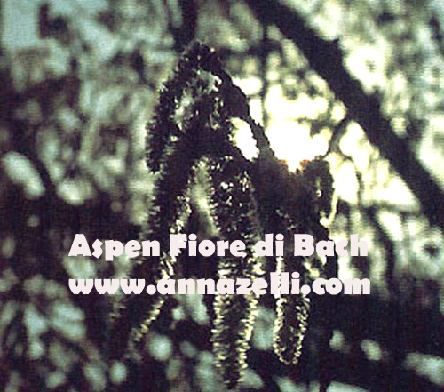 ASPEN, FIORE DI BACH, FIORE DELL'ANIMA,TERAPIA VIBRAZIONALE,FLORITERAPIA,NATUROPATIA