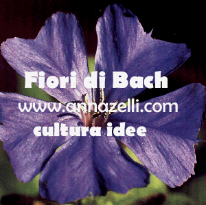 FIORI DI BACH MAPPA ARGOMENTI FLORITERAPIA, ERBORISTERIA NATUROPATIA www.annazelli.com