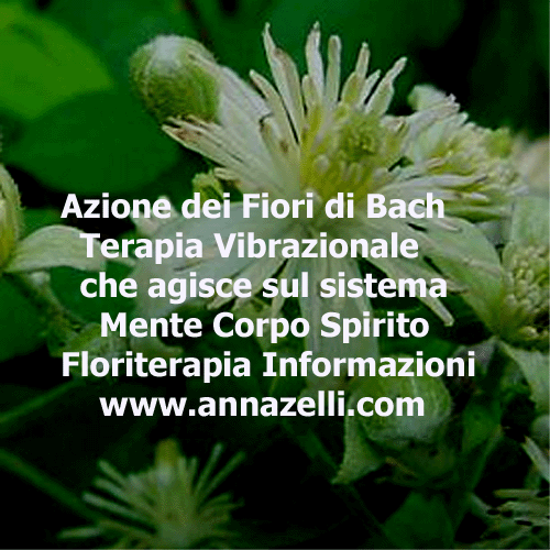 FIORI DI BACH AZIONI TERAPIA VIBRAZIONALE FLOREALE,FLORITERAPIA,ERBORISTERIA, NATUROPATIA