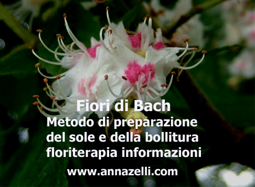 FIORI DI BACH METODO ESTRAZIONE PREPARAZIONE ESSENZE,FLORITERAPIA, ERBORISTERIA