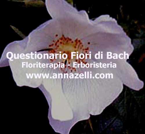 FIORI DI BACH QUESTIONARIO FLORITERAPIA ERBORISTERIA