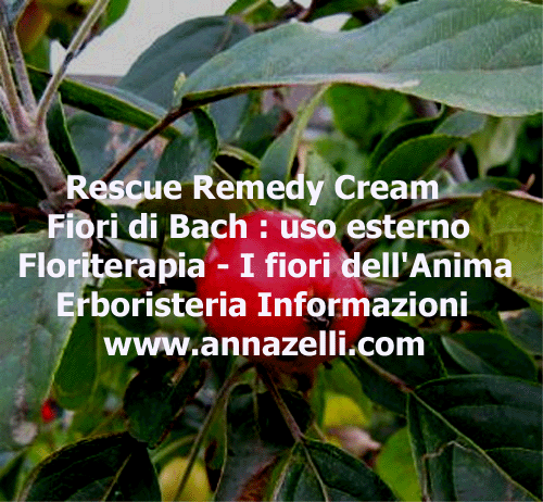FIORI DI BACH RESCUE REMEDY CREMA USO ESTERNO, FLORITERAPIA