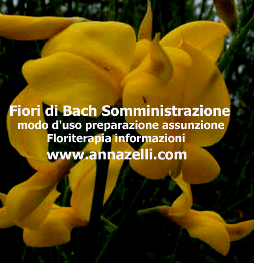 FIORI DI BACH SOMMINISTRAZIONE MODO D'USO FLORITERAPIA ERBORISTERIA