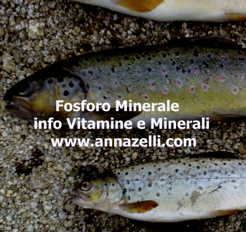FOSFORO MINERALE, MACROELELEMNTO, ERBORISTERIA