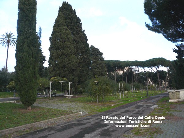 foto roseto del parco oppio roma