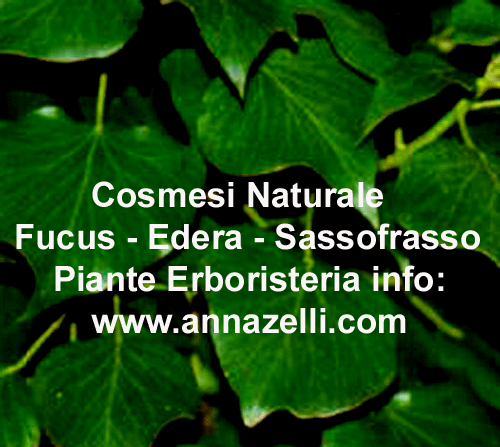 FUCUS, EDERA, SASSOFRASSO,COSMESI NATURALE,PIANTE,ERBORISTERIA