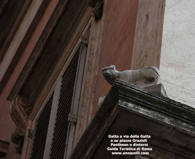 gatta a via della gatta pantheon e dintorni roma