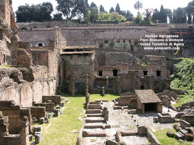 horrea agrippiana foro romano e dintorni roma