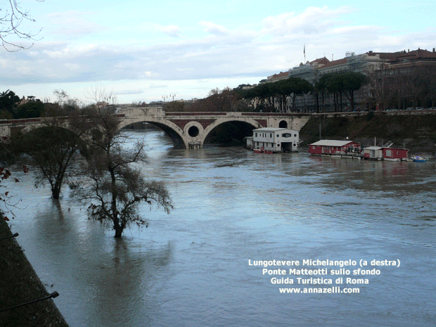 il Lungotevere Michelangelo (Roma)