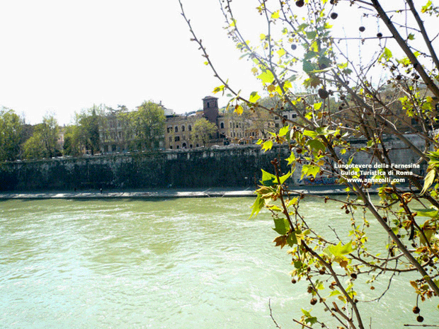 il lungotevere della farnesina (roma)