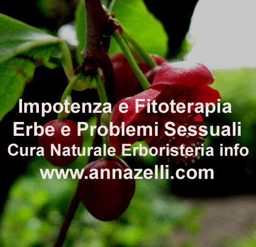 IMPOTEBZA PROBLEMI SESSUALI FITOTERAPIA,CURA NATURALE CON LE ERBE, ERBORISTERIA