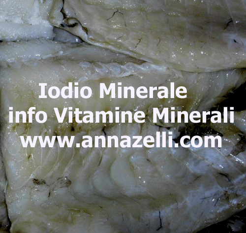 IODIO I MINERALE TRACCIA OLIGOELEMENTO, ERBORISTERIA