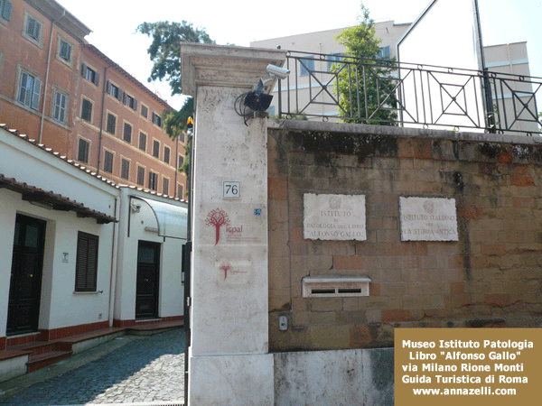 museo istituto per la patologia del libro alfonso gallo via milano roma