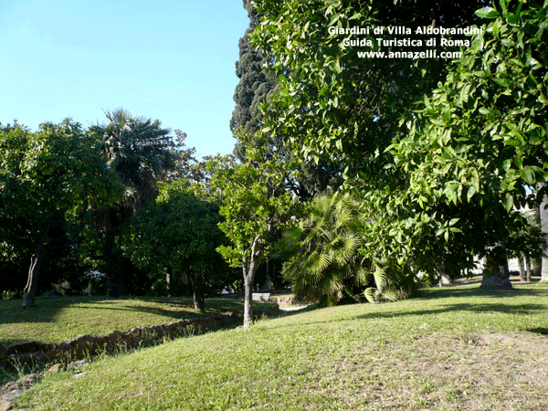 le foto del giardino di villa aldobrandini roma
