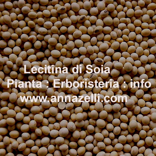 LECITINA DI SOIA, PIANTA, ERBORISTERIA