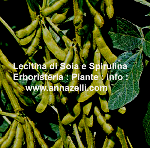 LECITINA DI SOIA E SPIRULINA, PIANTE, ERBORISTERIA
