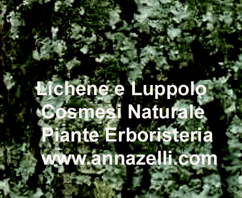 LICHENE E LUPPOLO,COSMESI NATURALE,PIANTE, ERBORISTERIA