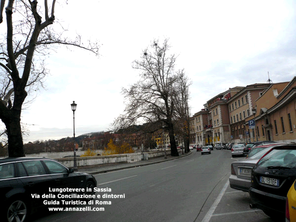 lungotevere in sassia via della conciliazione e dintorni roma