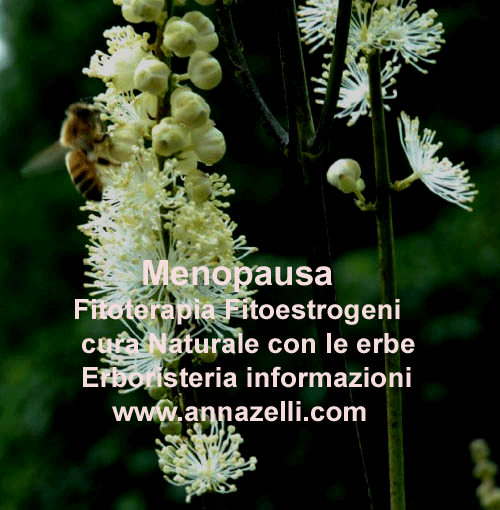 MENOPAUSA FITOTERAOIA FITOESTROGENI CURA NATURALE CON LE ERBE ERBORISTERIA