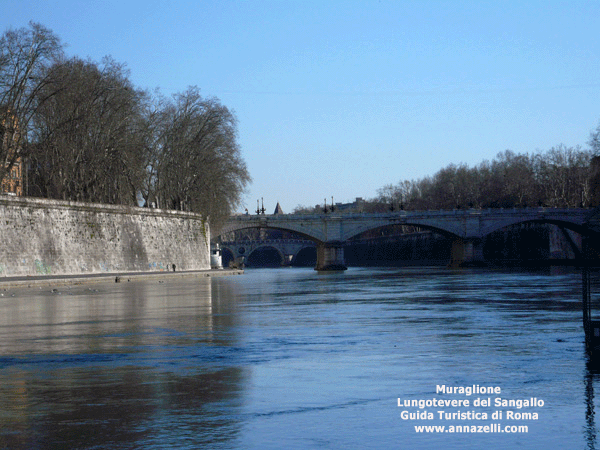 muraglione lungotevere del sangallo roma