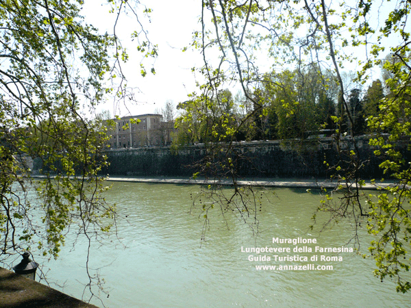muraglioni al lungotevere farnesina roma