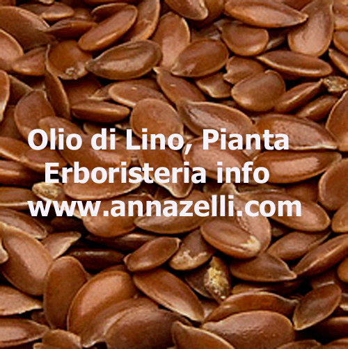 OLIO DI LINO, PIANTA, ERBORISTERIA