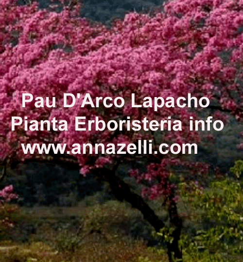 PAU D'ARCO, LAPACHO, PIANTA, ERBORISTERIA