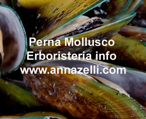 PERNA,MOLLUSCO,ERBORISTERIA,SUPLEMENTO,ALIMENTARE