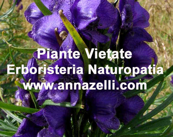 piante vietate in erboristeria e preparati erboristici