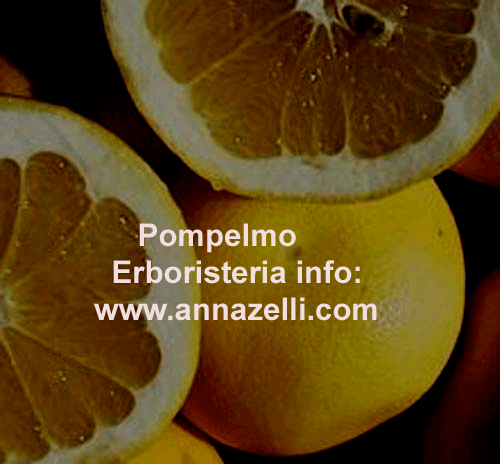 POMPELMO,PIANTA, ERBORISTERIA