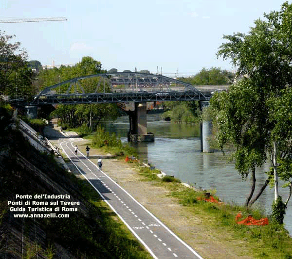 ponte dell'industria roma