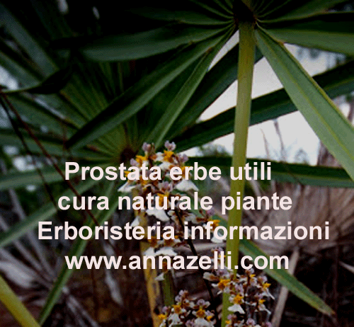 PROSTATA FITOTERAPIA,CURA NATURALE CON LE ERBE, ERBORISTERIA