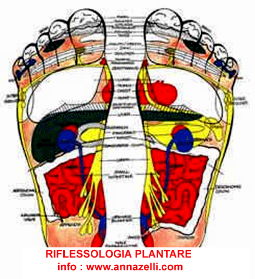 RILESSOLOGIA PLANTARE, DELLA MANO, NATUROPATIA