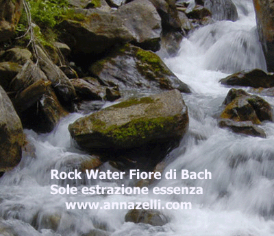 ROCK WATER FIORE DI BACH SOLE 