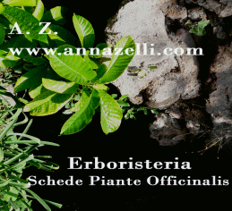 SCHEDE PIANTE OFFICINALIS,Erboristeria,erboristeria,ERBORISTERIA
