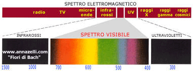 SPETTRO ELETTROMAGNETICO COLORI FIORI DI BACH