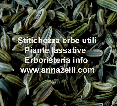 STITICHEZZA ERBE UTILI, ERBORISTERIA, PIANTE LASSATIVE