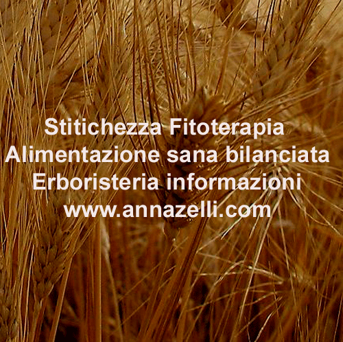 STITICHEZZA ERBE E FITOTERAPIA ALIMENTAZIONE SANA BILANCIATA ERBORISTERIA