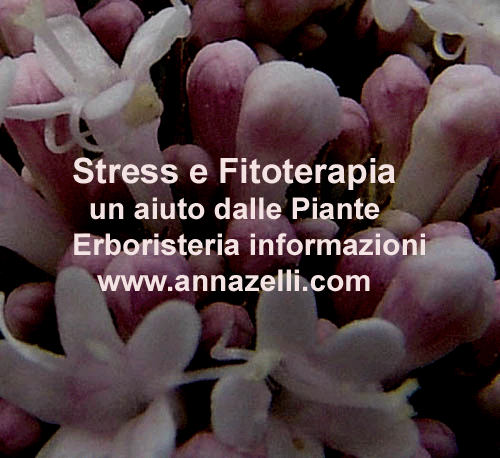 STRESS E FITOTERAPIA CURA NATURALE PIANTE ERBORISTERIA NATUROPATIA